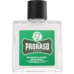 Proraso Eukalyptus balzám na vousy 100 ml – Zboží Dáma