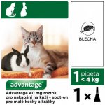Advantage Spot-on pro malé kočky a králíky 40 mg 1 x 0,4 ml – Zboží Mobilmania