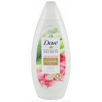 Dove Nourishing Secrets Summer Aloe vera & růžový vodní meloun uklidňující sprchový gel 250 ml – Hledejceny.cz