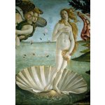 Botticelli, Sandro (Alessandro di Mariano di Vanni Filipepi) - Obrazová reprodukce Sandro Botticelli - Zrození Venuše, (30 x 40 cm) – Hledejceny.cz