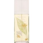 Elizabeth Arden Green Tea Honeysuckle toaletní voda dámská 100 ml – Sleviste.cz