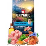 Ontario Puppy & Junior All Breeds Monoprotein Turkey & Sweet Potatoes 6,5 kg – Hledejceny.cz