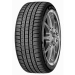 Michelin Pilot Alpin 235/65 R18 110H – Hledejceny.cz