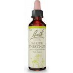 Bachovy květové esence Kaštan bílý White Chestnut 20 ml – Hledejceny.cz
