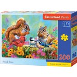 Castorland Veverky 200 dílků – Zbozi.Blesk.cz