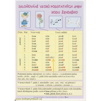 Skloňování vzorů podstatných jmen rodu ženského/ – Zbozi.Blesk.cz