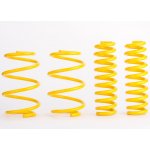 ST suspensions Sportovní pružiny Škoda Octavia II (1Z) 4x4/4WD, Kombi, r.v. od 01/05, 1.8TFSI/2.0FSI/1.9TDi/2.0TDi, snížení 30/30mm | Zboží Auto