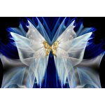 Norimpex Diamantové malování Zlatý motýlek 30 x 40 cm – Hledejceny.cz