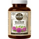 Canvit Natural Line Silybum Marianum 150 g – Hledejceny.cz