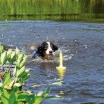 Trixie Aportovací kolík MOT AQUA 29 cm – Zbozi.Blesk.cz