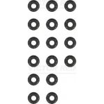 Sada těsnění, dřík ventilu VICTOR REINZ (VR 12-31306-12) | Zboží Auto