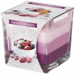 Bispol Aura Frozen Berries 170 g – Zboží Dáma