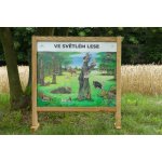 Lesní svět Stolní biotop s magnety Ve světlém lese – Zbozi.Blesk.cz