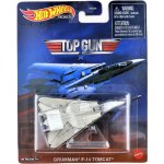 Toys Hot Wheels Premium Top Gun Grumman F-14 Tomcat – Hledejceny.cz