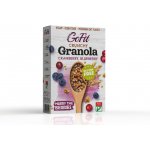 Avena GoFit Gofit brusinkovo-borůvková granola 250 g – Hledejceny.cz