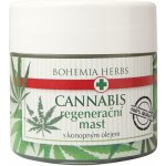 Bohemia Gifts & Cosmetics Cannabis konopný olej regenerační mast pro suchou a popraskanou pokožku 120 ml