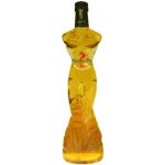 Kamasutra Žen Šen & Vodka 25% 0,5 l (holá láhev) – Hledejceny.cz