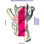 Dějiny československého komiksu 20. století – Hledejceny.cz