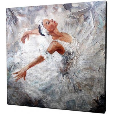 Wallity Obraz na plátně White swan KC012 45x45 cm – Zbozi.Blesk.cz