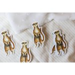 ePipí Samolepka Papuchalk – Zboží Dáma