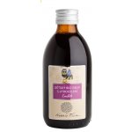 Nobilis Tilia Dětský BIO sirup s jitrocelem Emílek 250 ml – Hledejceny.cz