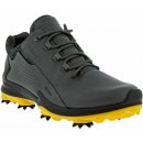 Ecco Biom G3 Dritton Mens magnet