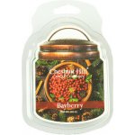 Chestnut Hill Candle vonný vosk Bayberry 105 g – Hledejceny.cz