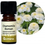 Armina Bio éterický olej Heřmánek pravý modrý 5 ml – Hledejceny.cz