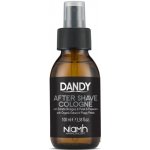 Dandy After Shave voda po holení 100 ml – Zbozi.Blesk.cz