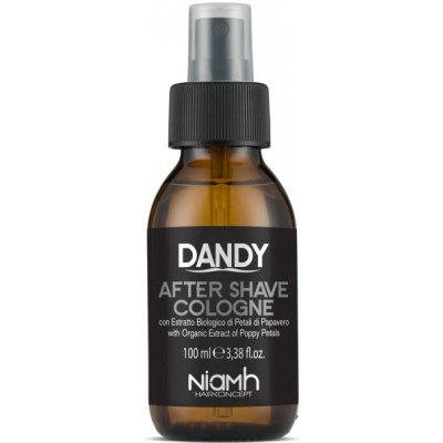 Dandy After Shave voda po holení 100 ml – Zbozi.Blesk.cz