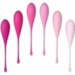 Feelz Toys FemmeFit Pelvic Muscle Training Set 6 pack – Zboží Dáma Feelz Toys FemmeFit Pelvic Muscle Training Set 6 pack – Zboží Dáma