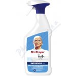 MR. PROPER Spray Wipe Done Bathroom Alpin Fresh 800 ml – HobbyKompas.cz