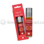 Saloos Aroma roll-on Divoká růže 9 ml – Zbozi.Blesk.cz