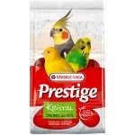 VERSELE-LAGA Grit Shell Sand Kristal 5kg – Zboží Dáma