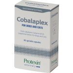 Protexin Cobalaplex pro psy a kočky 60 tbl – Hledejceny.cz