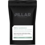 Pillar Triple Magnesium Powder Lemon Lime sáček 200 g – Hledejceny.cz