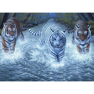 STM Creatoys Malování velké Royal Tři tygři – Zboží Mobilmania