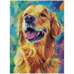 Dotz diamantové malování na rámu Zlatý retrívr 40 x 30 cm – Hledejceny.cz
