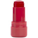 Face Facts hydratační jelly tint na rty, Cherry Bliss Jelly Lip Tint 8 g – Hledejceny.cz