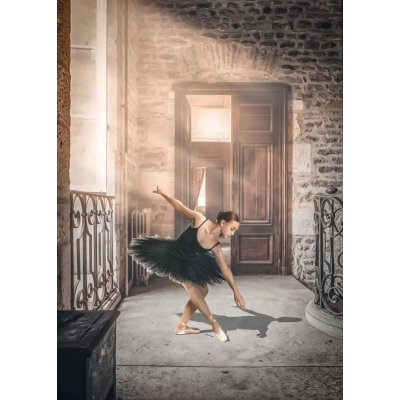 Fotografie - Martinussen, Baard: Digitální malba opuštěného baletu 1 - reprodukce obrazu