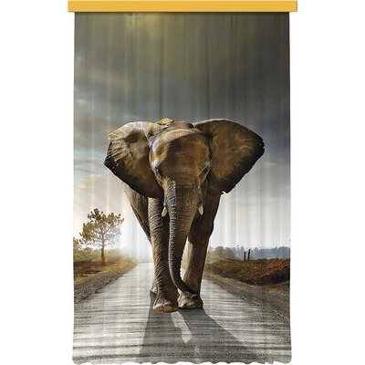 Fotozáclona AGdesign neprůhledná, Slon 140 x 245 cm – Hledejceny.cz