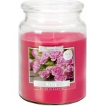 Bispol Aura Maxi Rose 500 g – Sleviste.cz