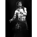 Plakát, Obraz - Views of Michael Jackson concert, 30 × 40 cm – Zboží Dáma