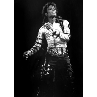 Plakát, Obraz - Views of Michael Jackson concert, 30 × 40 cm – Zboží Dáma
