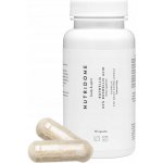 Nutridome Boswellia 65% kyselina boswellová pro podporu kloubů a imunity 60 kapslí – Hledejceny.cz