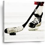 Sablio Obraz Lední hokej - 110x110 cm – Hledejceny.cz