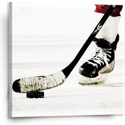 Sablio Obraz Lední hokej - 110x110 cm – Hledejceny.cz
