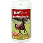 Nutri Horse Chondro Plus 1 kg – Zboží Mobilmania