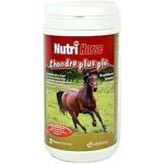 Nutri Horse Chondro Plus 1 kg – Hledejceny.cz