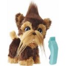 Hasbro Fur Real Friends zvířátko pejsek Shaggy Shawn E0497